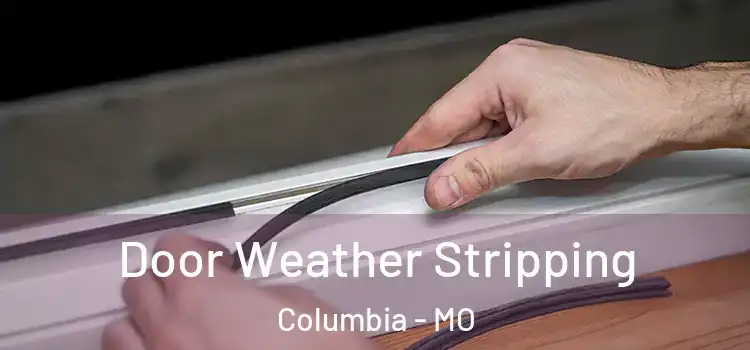 Door Weather Stripping Columbia - MO