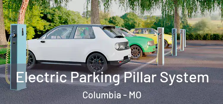  Electric Parking Pillar System Columbia - MO