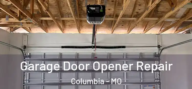  Garage Door Opener Repair Columbia - MO