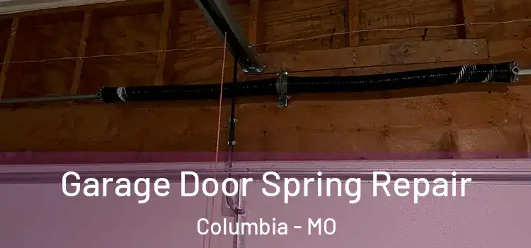  Garage Door Spring Repair Columbia - MO